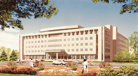 1542706678965572.png image.png