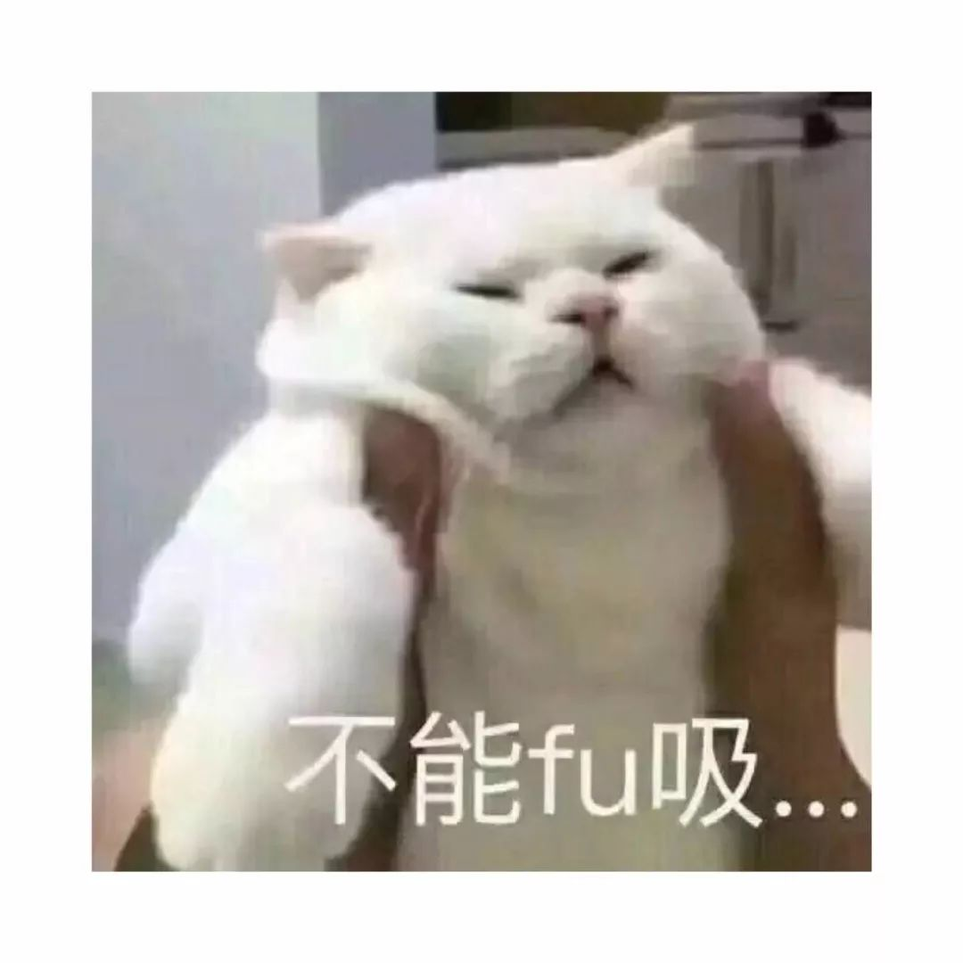 1712802272730392.png 0.png