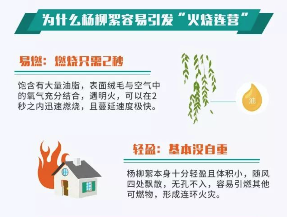 1712803243681073.png 6.png